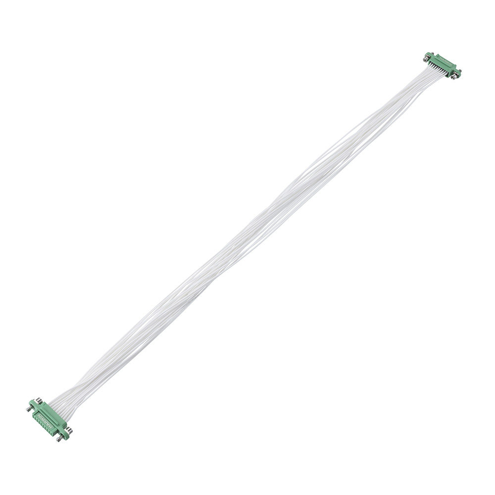 G125-FC12005F1-0300F1 - 10+10 Pos. Female DIL 26AWG Cable Assembly, 300mm, double-end, Screw-Lok