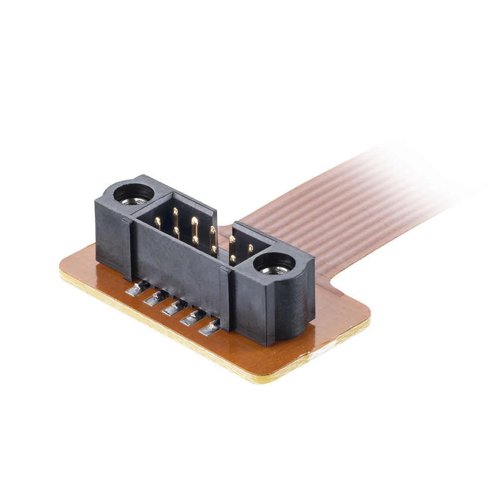 M80-F150210-100-L - 5+5 Pos. Male DIL Flex Circuit Assembly, 100mm, single-end, Jackscrews